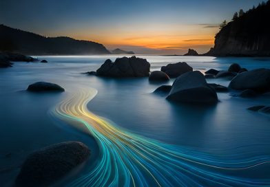 La bioluminescence : une lumière dans la nature La bioluminescence : une lumière dans la nature