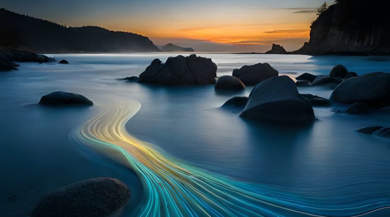 La bioluminescence : une lumière dans la nature La bioluminescence : une lumière dans la nature